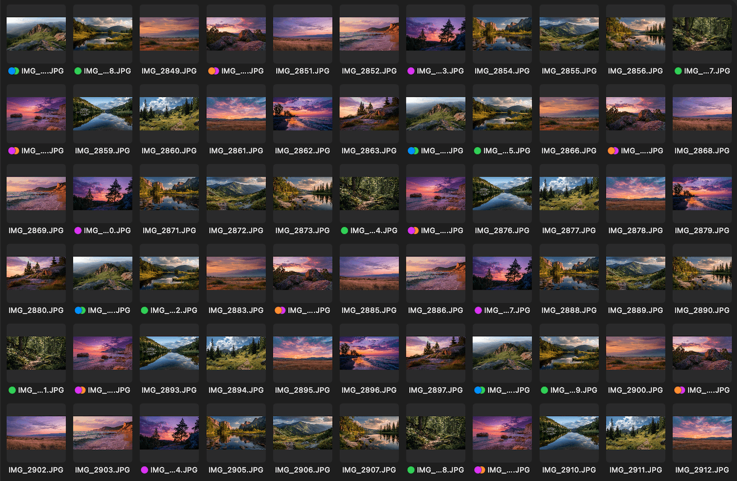 Performance Boost in Phiewer: Hundreds of Thousands of Images Are No Longer a Problem