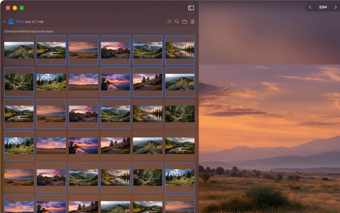 Multiple images in the Phiewer gallery view, selected with a single click